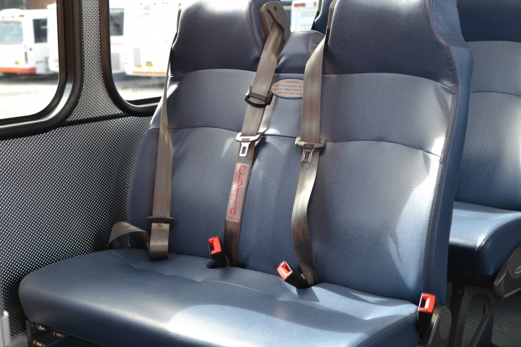 seat belt-fitted buses