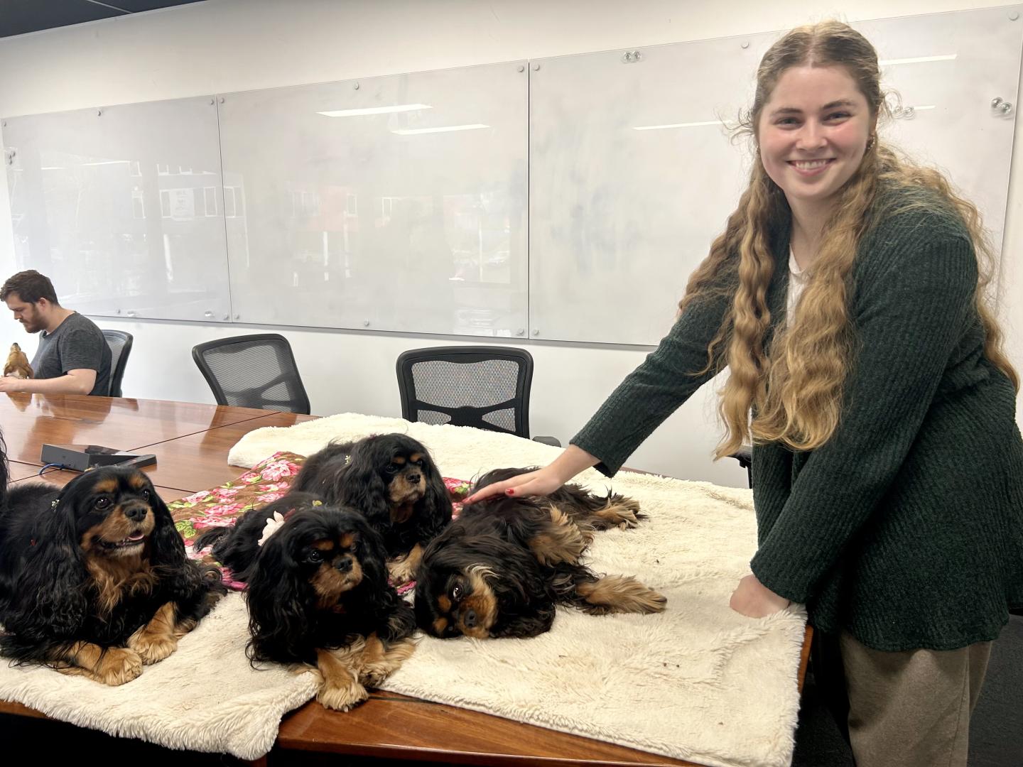 Busways team playing with therapy Dogs