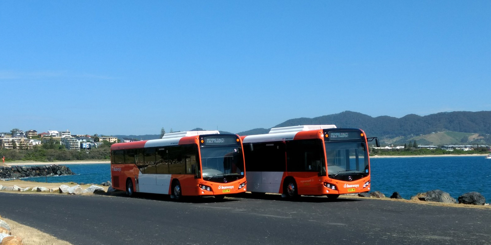 New Port Macquarie buses